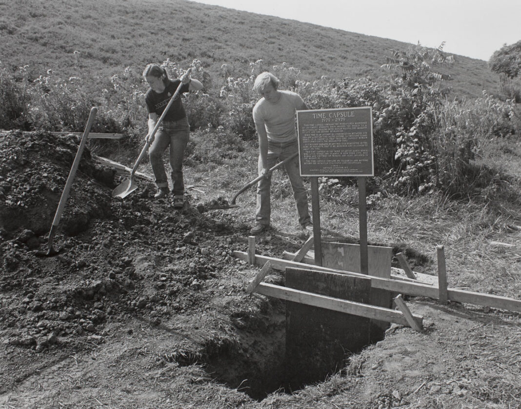 Agnes Denes Rice/Tree/Burial(1968, 1977) mulberry blog